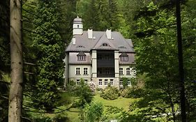 Villa Pepita Międzygórze